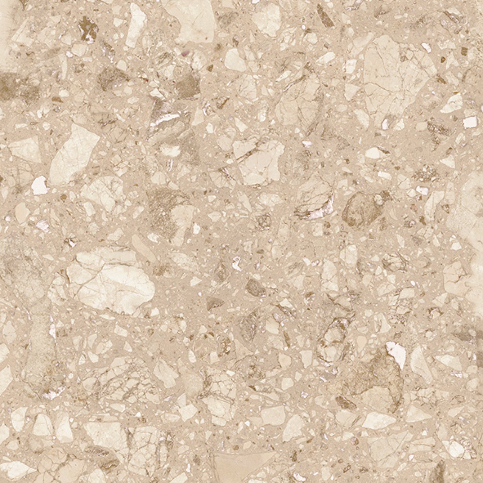 Platinum Selena Brown 60x60